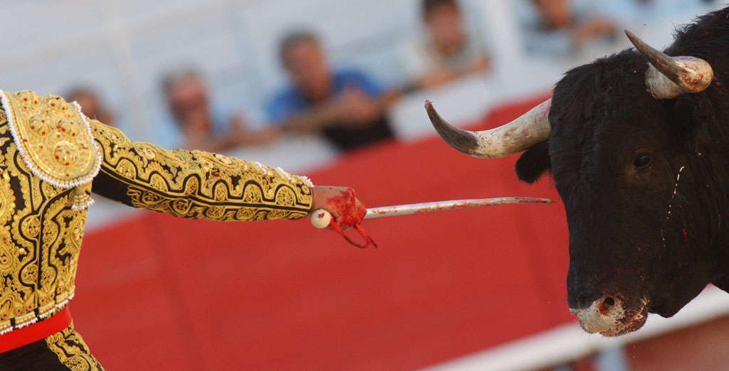 00/00/2007.Bloody details of Bullfighting.